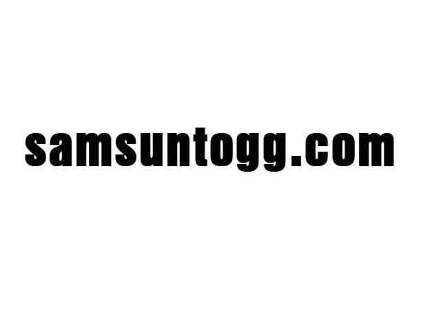 Samsun TOGG domain